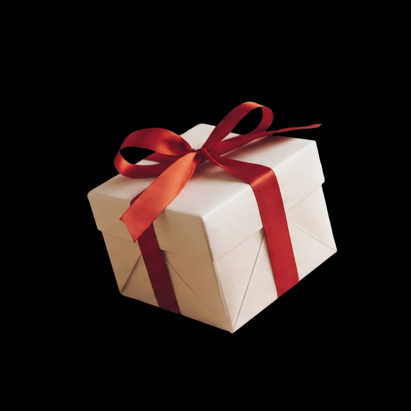 Norrva 5-Piece Jewelry Try-On Bundle